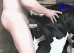 Anal sex session with a black beast