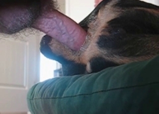 Dirty dog has to take this dude's cock
