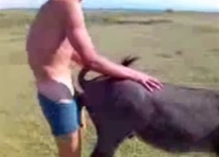 Sensual farm animal gets fucked in the doggy pose